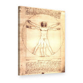 Vászonkép Vitruviusi ember – Leonardo da Vinci, 3D nézet