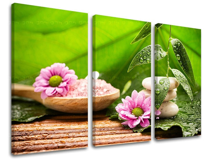 Klasszikus vászonkép motívummal: FENG SHUI, természet fehér-rózsaszín árnyalatokban, nyugodt hangulat, természet, alkalmas a nappali számára | Fali kép FENG SHUI – fő