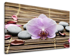 Klasszikus vászonkép motívummal: FENG SHUI, orchidea, virágok, természet barna-rózsaszín árnyalatokban, nyugodt hangulat, természet, alkalmas a nappali számára – fő