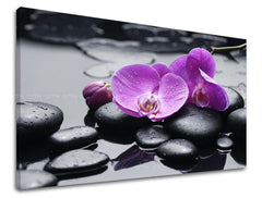 Klasszikus vászonkép motívummal: FENG SHUI, orchidea, virágok, természet lila-fekete árnyalatokban, nyugodt hangulat, természet és minimalizmus – fő
