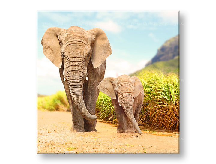 Boho stílusú vászonkép motívummal: ÁLLATOK, hegy, táj, természet, állat kék-szürke árnyalatokban, nyugodt hangulat, természet, alkalmas a gyerekszoba számára – fő