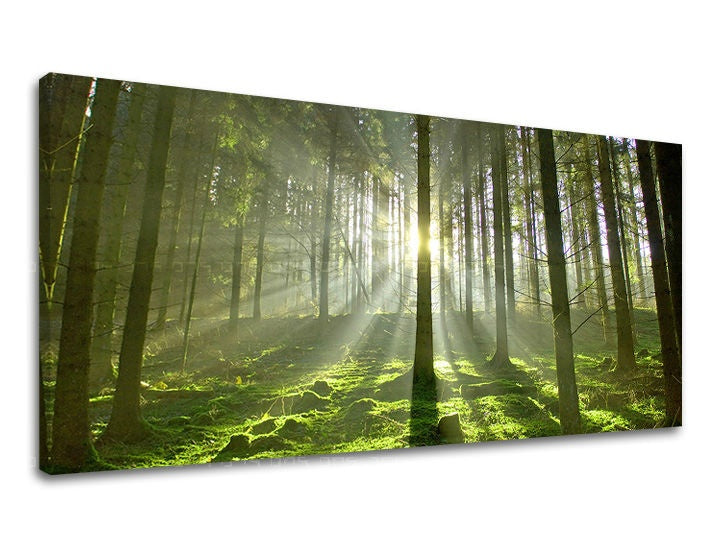 Boho stílusú vászonkép motívummal: PANORÁMA FÁK, fák, táj, térkép, természet barna-zöld árnyalatokban, nyugodt hangulat, alkalmas a nappali számára – fő