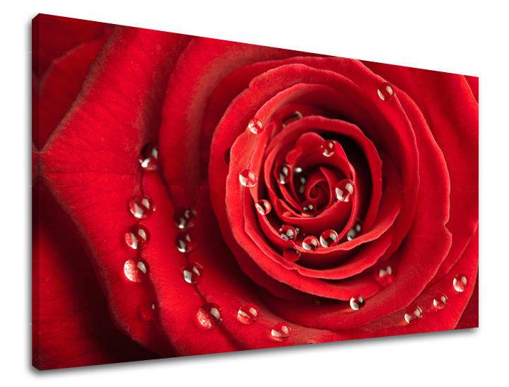Art deco vászonkép motívummal: rózsa, virágok, természet piros árnyalatokban, romantikus hangulat, szerelem és természet, alkalmas a dolgozószoba számára | Fali kép VIRÁGOK – fő
