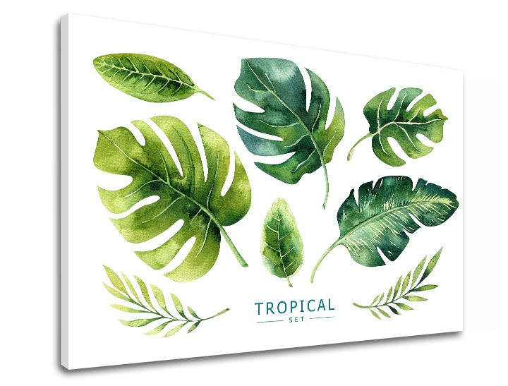 Modern kép motívummal: természet fehér-zöld árnyalatokban | Fali kép s textom Tropical set, természet és trópusi paradicsom – előnézet