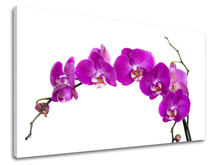 Modern vászonkép motívummal: orchidea, virágok zöld-sárga árnyalatokban, elegáns hangulat, természet és tavaszi hangulat | Fali kép VIRÁGOK – fő