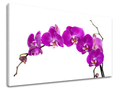 Modern vászonkép motívummal: orchidea, virágok zöld-sárga árnyalatokban, elegáns hangulat, természet és tavaszi hangulat | Fali kép VIRÁGOK – fő