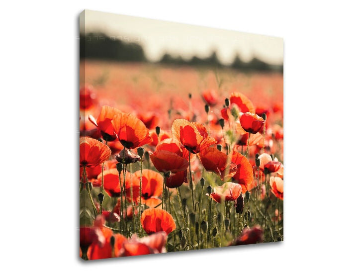 obraz-na-stenu-kvety-SK-XOBKV097E12-0.jpg