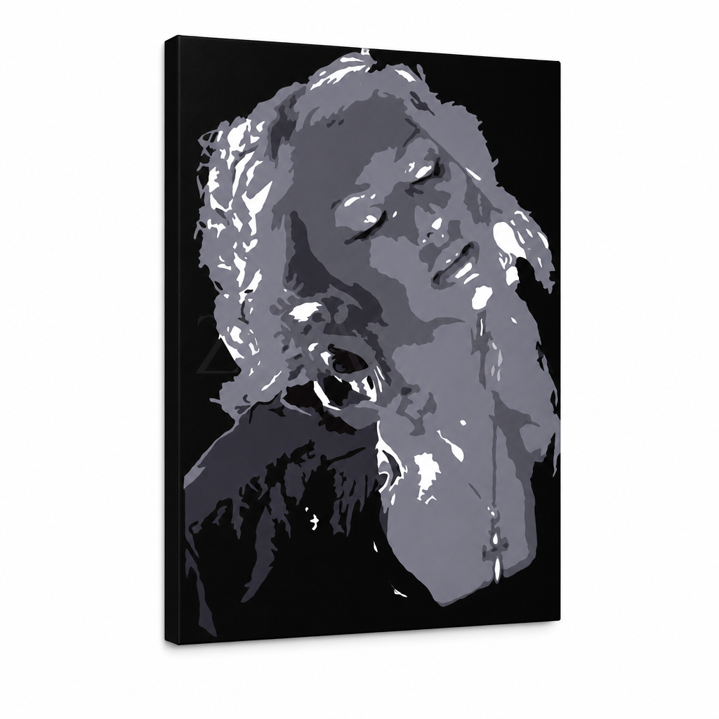 Kézzel festett POP Art Christina Aguilera 1 db kb. – 3D látvány a kézzel festett vászonról fehér háttéren. Domináns színek: fekete, szürke, fehér.