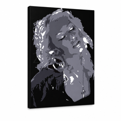 Kézzel festett POP Art Christina Aguilera 1 db kb. – 3D látvány a kézzel festett vászonról fehér háttéren. Domináns színek: fekete, szürke, fehér.