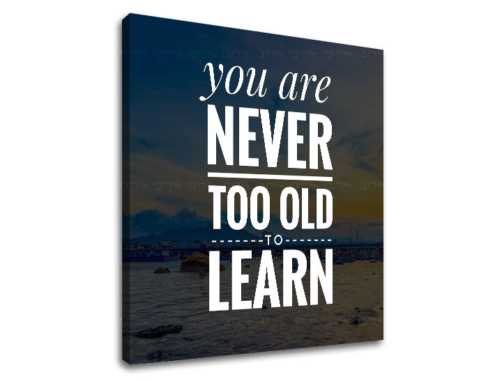 Modern vászonkép motívummal: You are never too old, óceán, hegyek, égbolt, tengerpart fehér árnyalatokban, természet és bölcsesség, alkalmas a iroda számára – termék