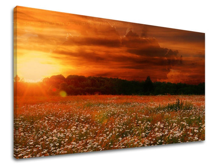 Boho stílusú vászonkép motívummal: naplemente, mező, fák, égbolt, táj fehér-narancs árnyalatokban, drámai hangulat, alkalmas a nappali számára – fő