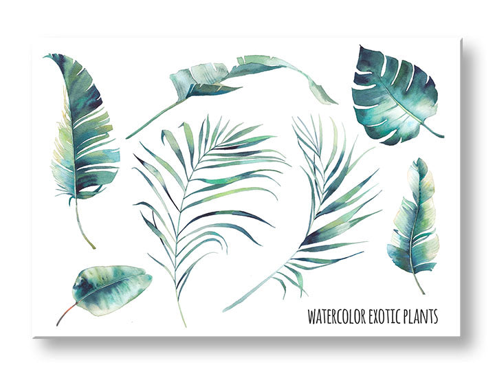 Modern vászonkép motívummal: természet fehér-kék árnyalatokban, friss hangulat, természet és trópusi paradicsom, alkalmas a iroda számára | Fali kép s textom Watercolor exotic plants – fő