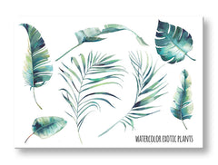 Modern vászonkép motívummal: természet fehér-kék árnyalatokban, friss hangulat, természet és trópusi paradicsom, alkalmas a iroda számára | Fali kép s textom Watercolor exotic plants – fő