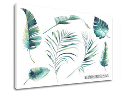 Modern vászonkép motívummal: természet fehér-kék árnyalatokban, friss hangulat, természet és trópusi paradicsom, alkalmas a iroda számára | Fali kép s textom Watercolor exotic plants – termék