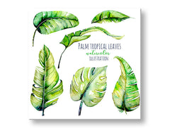 Modern vászonkép motívummal: természet fehér-zöld árnyalatokban, friss hangulat, természet és trópusi paradicsom, alkalmas a nappali számára | Fali kép s textom Palm tropical leaves – fő
