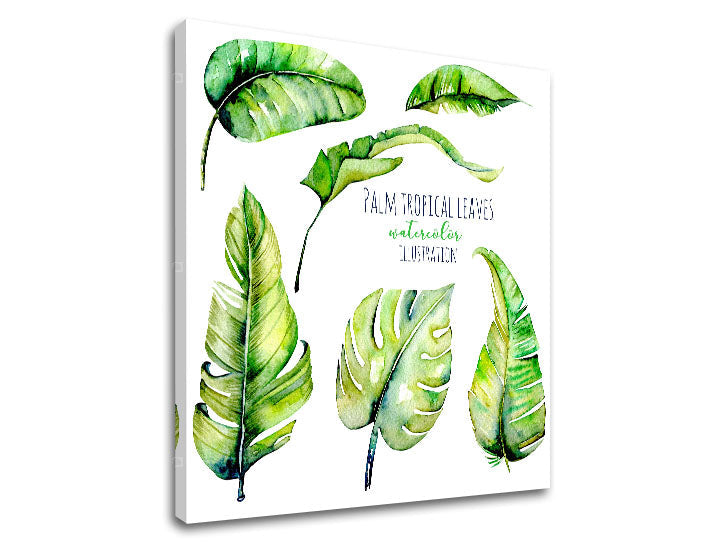 Modern vászonkép motívummal: természet fehér-zöld árnyalatokban, friss hangulat, természet és trópusi paradicsom, alkalmas a nappali számára | Fali kép s textom Palm tropical leaves – termék