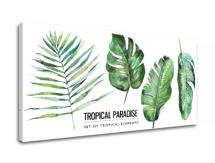 Ipari vászonkép motívummal: természet fehér-zöld árnyalatokban, friss hangulat, természet, alkalmas a nappali számára | Fali kép s textom Tropical paradise – termék