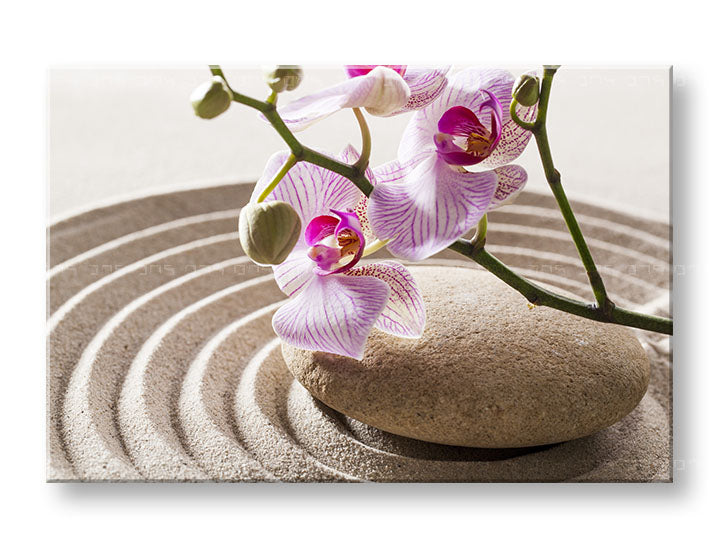Klasszikus vászonkép motívummal: FENG SHUI, orchidea, zen kert, virágok, térkép bézs-rózsaszín árnyalatokban, nyugodt hangulat, alkalmas a nappali számára – fő