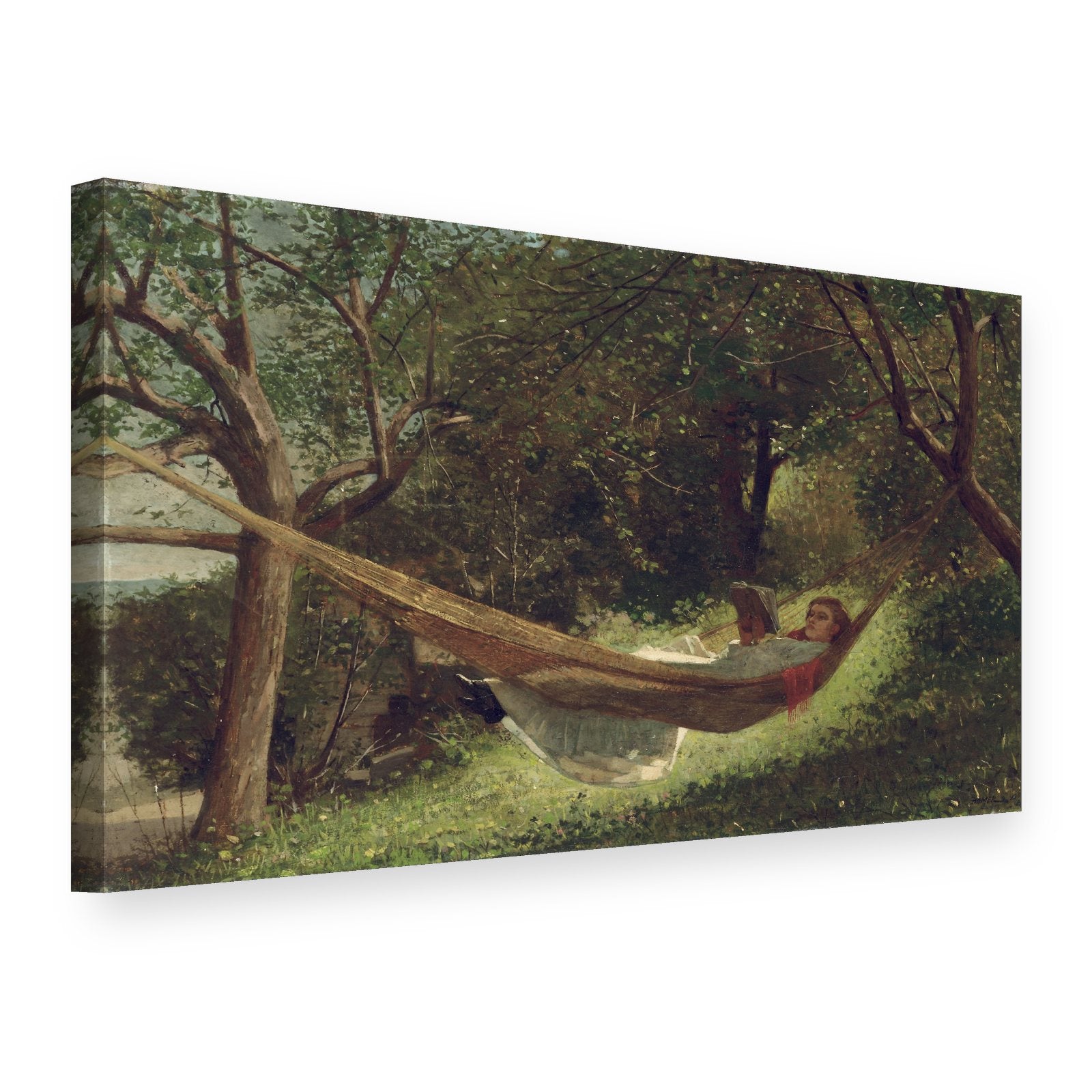 Vászonkép Lány a függőágyban – Winslow Homer, 3D nézet