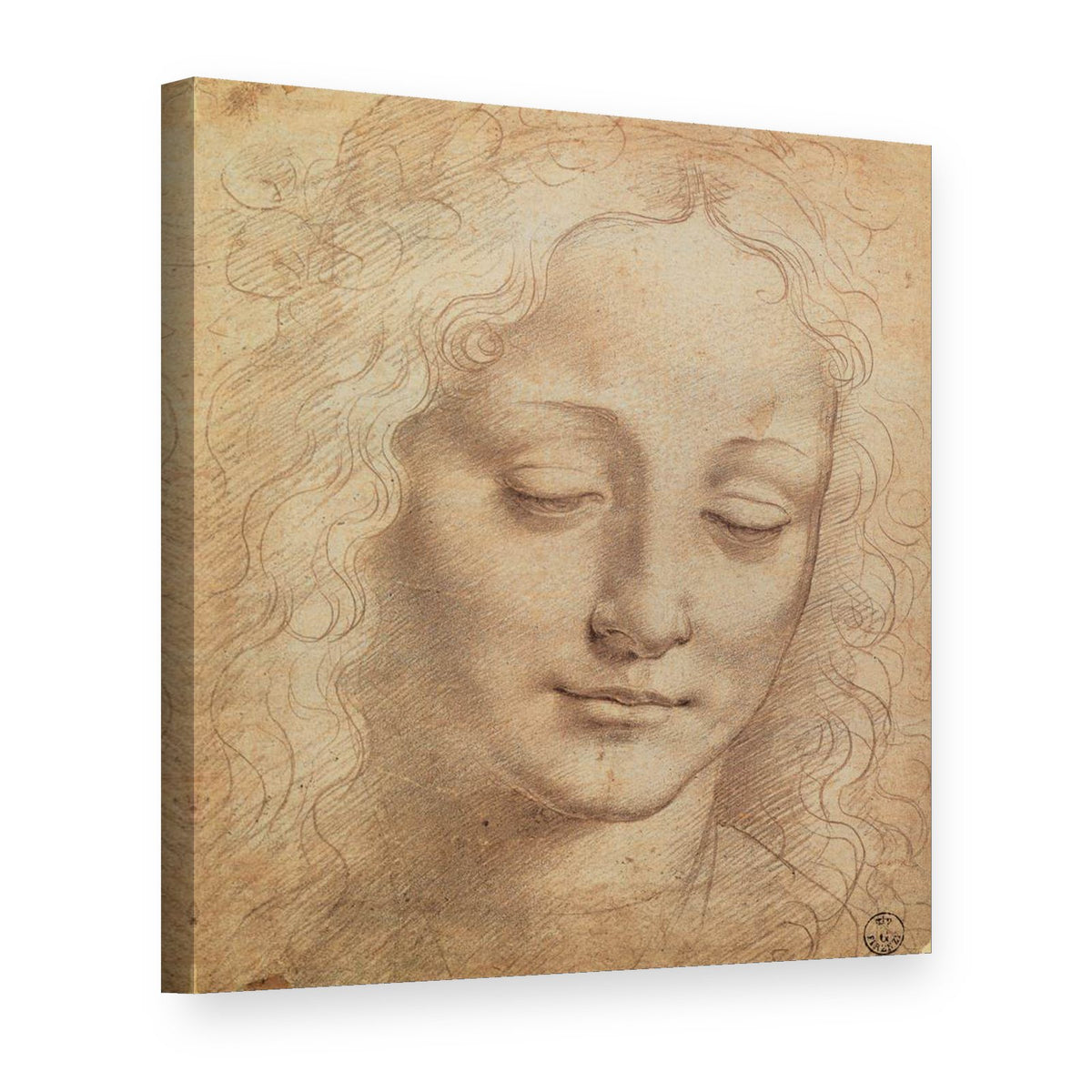 Vászonkép Női fej III. – Leonardo da Vinci, 3D nézet