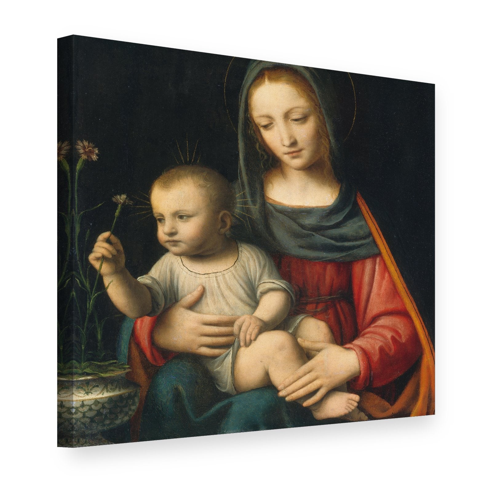 Vászonkép Szegfűs Madonna – Bernardino Luini, 3D nézet