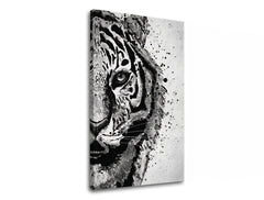 Modern vászonkép motívummal: TIGER 001, tigris, táj fehér-szürke árnyalatokban, intenzív hangulat, természet és erő, alkalmas a dolgozószoba számára – termék