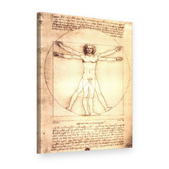 Vászonkép Vitruviusi ember – Leonardo da Vinci, 3D nézet